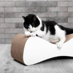 Škrabadla pro velké kočky jako ochrana nábytku i klidu v domácnosti